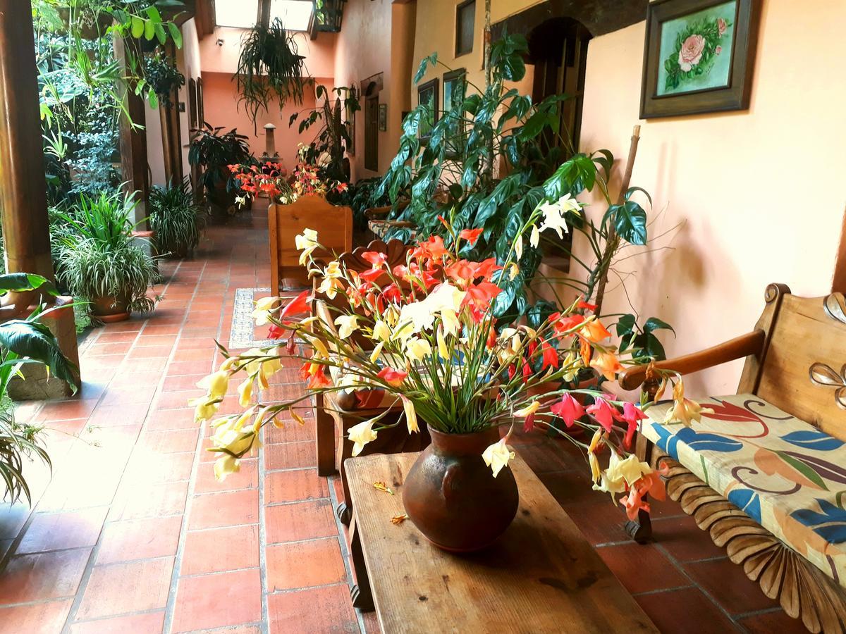 Posada Papa Chepe La Esperanza エクステリア 写真